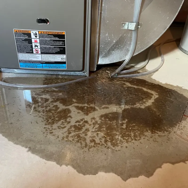 Appliance Leak Cleanup in Buies Creek, NC